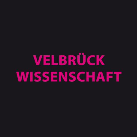 Logo Verlag Velbrück Wissenschaft